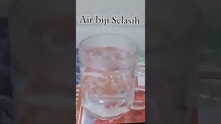 Air Biji Selasih