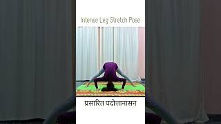 Prasarita Padottanasana Pose #shorts #yoga