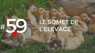 LE SOMET DE L'ELEVAGE │LFDT #59