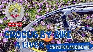 MTB SAN PIETRO AL NATISONE – LIVEK