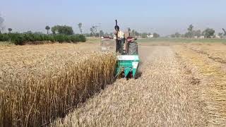 Wheat thresher machine _ decorated Belarus tractor ___ wheat farming machine _wheat