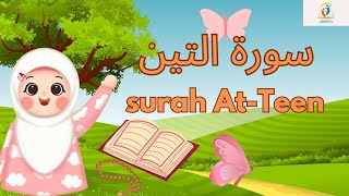 سورة التين بالتجويد- قرآن كريم للأطفال - surah At-Teen