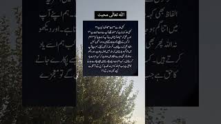 اسلامی وڈیو