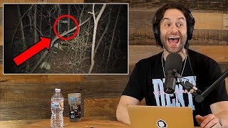 Chris D'elia reaction on scary horror Youtube videos