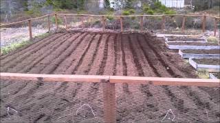 Vegetable Garden Off Grid