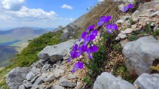 Solo αναβαση Νάματα • Άσκιο (Σινιάτσικο) 2.111μ.