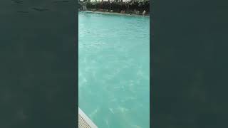 خريجة بمسبح💃🏊