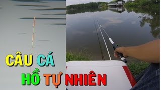 Câu Đài Hồ Tự Nhiên | Cảnh Đẹp Cá Cũng Đẹp