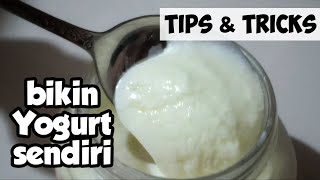 Cara Membuat Yogurt Homemade I How To Make Yogurt From Yogurt