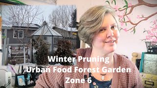 Winter Fruit Tree Pruning in an Urban Food Forest Garden. Yule video series 4 of 6