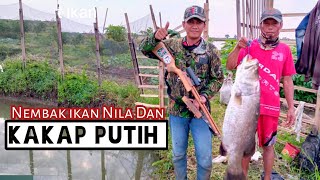 Nembak ikan KAKAP PUTIH || Maser kakap sampe terjebur keseret terbawa ikan