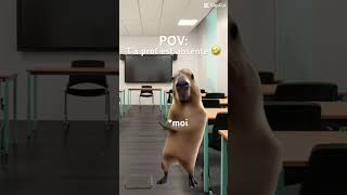 POV: la prof est absente 🤣