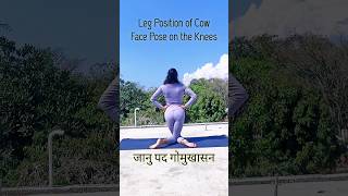 Janu Pada Gomukhasana 2 #shorts #yoga