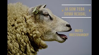 Ja som teba doma hľadal 🐑 (M. Brestovanský)