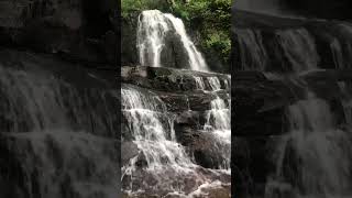 Laurel Falls#shorts#summer #waterfall #smokeymountains #tennessee