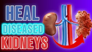 Eat 5 Foods and Reverse Kidneys Failure Fastly - Nourish360