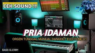 CEK SOUND 🔊 PRIA IDAMAN | DANGDUT ELECTONE V1 INSTRUMENTAL‼️ BASS GLERR!!