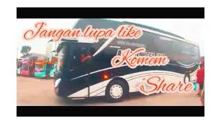 Bus ngeblong