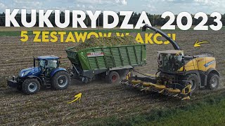 🔥KUKURYDZA NA KISZONKĘ 2023🔥U.R AGRO MARK MAREK WOŹNIAK🔥GR SAROWSKI🔥5 ZESTAWÓW W AKCJI🔥VIXA🔥