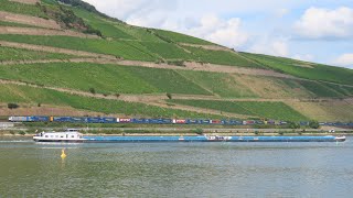 Treni lungo la valle del Reno - Züge entlang des Rheintal