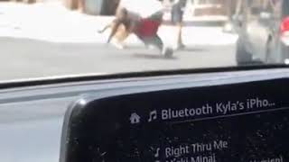 Viral video : "Thief thought the guy with the dog is a cop"