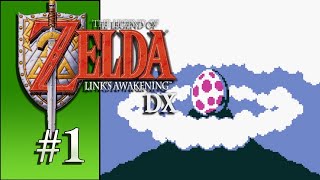 Legend of Zelda Links Awakening DX Blind Letsplay - Episode 01