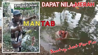 Mancing Dapat Nila Merah