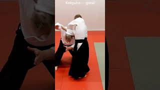 Aikido in slow motion: On shoulder grabs from behind, USHIRO RYO KATADORI, by Stefan Stenudd