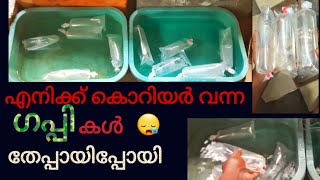 കൊറിയർ വന്ന ഗപ്പികൾ //#unboxing/ #guppy