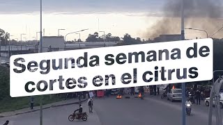 Comenzó la segunda semana de cortes de los trabajadores del citrus en Tucumán