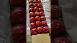 Gift for all of you😍❤️  #kashmir #kashmirvalley #trending #apple #nature #viral #viralshorts #share