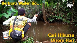 REJEKI TAK TERDUGA...Mancing WADER di Sore Hari #mancingwader #mancingnilem #mancingliar