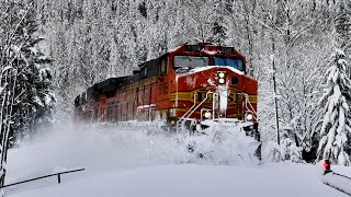 Winter Washington Snow Trains