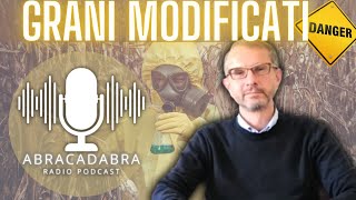 GRANI MODIFICATI : malattia di domani