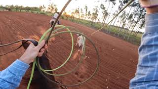 Go Pro Hero 10 - Team roping (Heeling View)