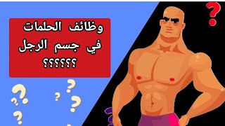 لماذا يمتلك الرجل حلمتان