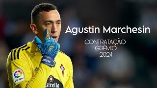 NOVO GOLEIRO DO GRÊMIO: Agustin Marchesin / lances / #libertadores2024