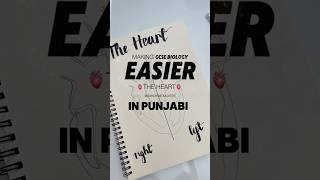 Teaching you about the Heart in Punjabi