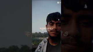 মশার কামর সহ্য করতে পারি না