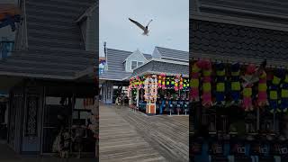 Wildwood 4th of July weekend