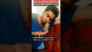 #cockatiel #cockatiels #birdlovers #pachaikiligal #handtamedbirds #petlover #petlovers #tamilshorts