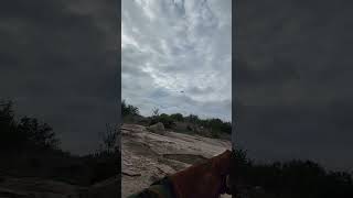 Black kite landing on glove | meteorite fall 👌