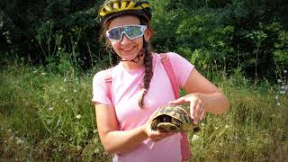 Cycling along the sunflower fields