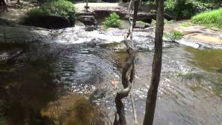 Angkor Wat Temples Thousand Lingas Rivers Holy Water in Cambodia