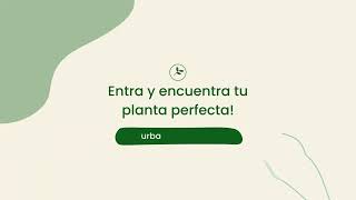 Encuentra tu planta perfecta en Urbangreen