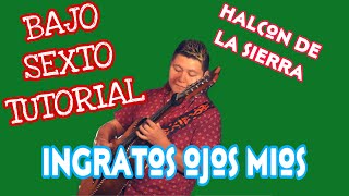 Ingratos Ojos Mios - El Halcon de la Sierra (TABS Bajo Quinto Tutorial)