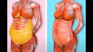 BMI and Plastic Surgery - Education on Internal vs External Fat