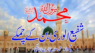 Muhammad Shafiul wara ban ke chamke محمد شفیع الوری بن کے چمکے ||@salahuddinalfatih786  #naat