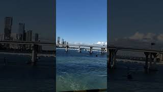 Miami 4k vedio Florida #shortsvideo#viral#shorts#miamicity#youtubeshorts#youtube#biggestcruiseship