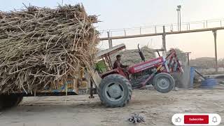 mf 260 tractor pulling heavy loaded sugarcane trolley _ Pendu life(4K)